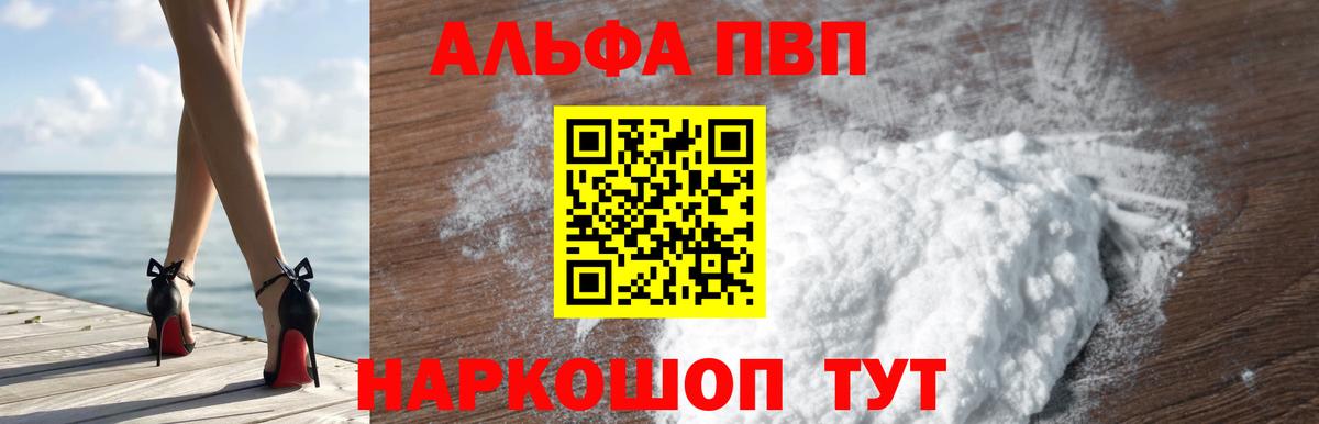 Alfa_PVP СК Губаха