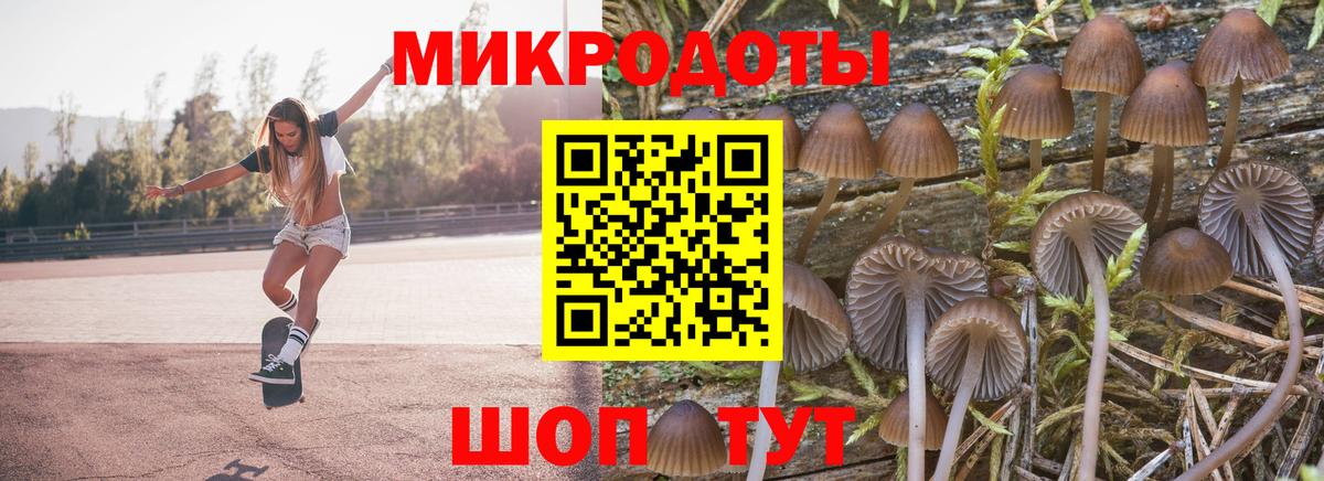 Псилоцибиновые грибы мухоморы Губаха